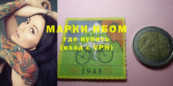 apvp Гусев