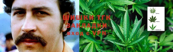 соль ск Горно-Алтайск