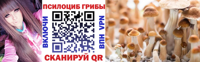 где купить наркоту  Гуково  Галлюциногенные грибы мицелий 
